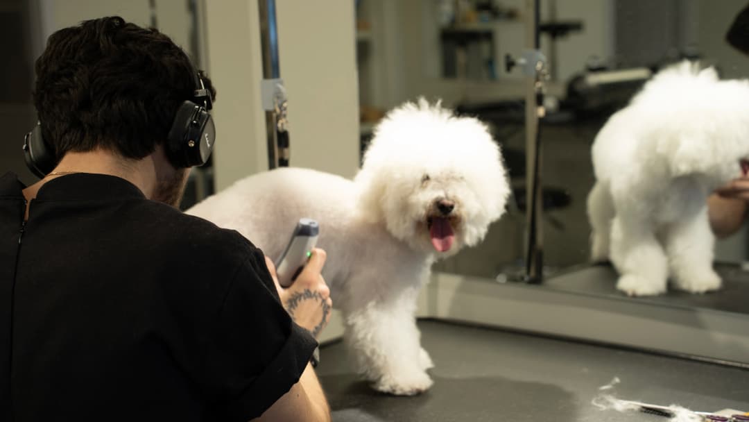 Professional Shampoo