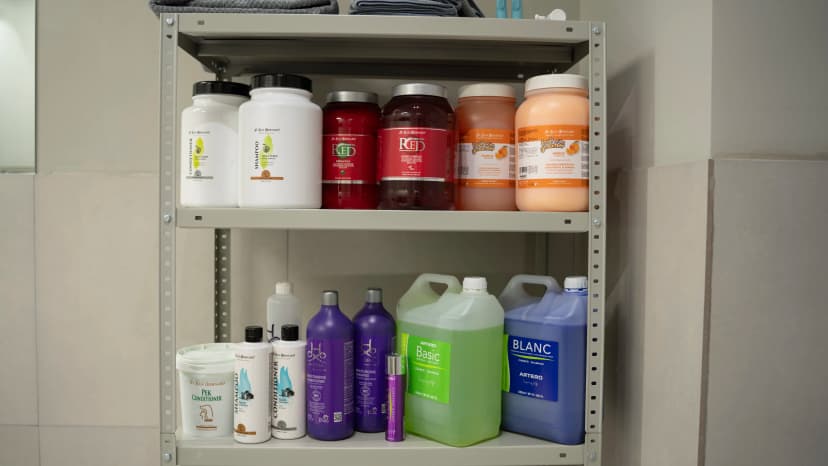 გრუმინგის სერვისები